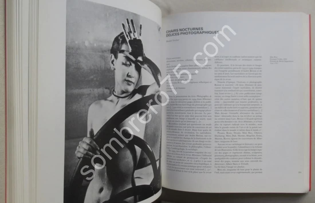 Regards sur Minotaure. La revue à tête de bête. 1987 - Image 8