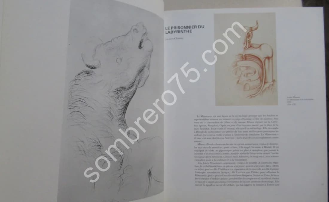 Regards sur Minotaure. La revue à tête de bête. 1987 - Image 9