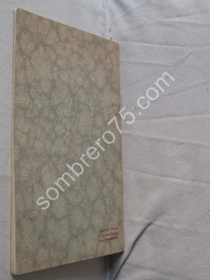 La Croisière Aérienne Africaine de l'Escadrille Vuillemin. Conférence - Image 2