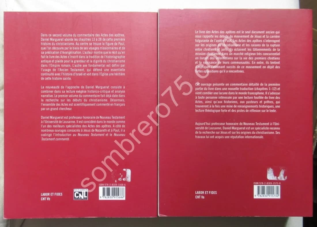 Les Actes des Apôtres (1-12) et (13-28) - 2 Tomes - Image 5