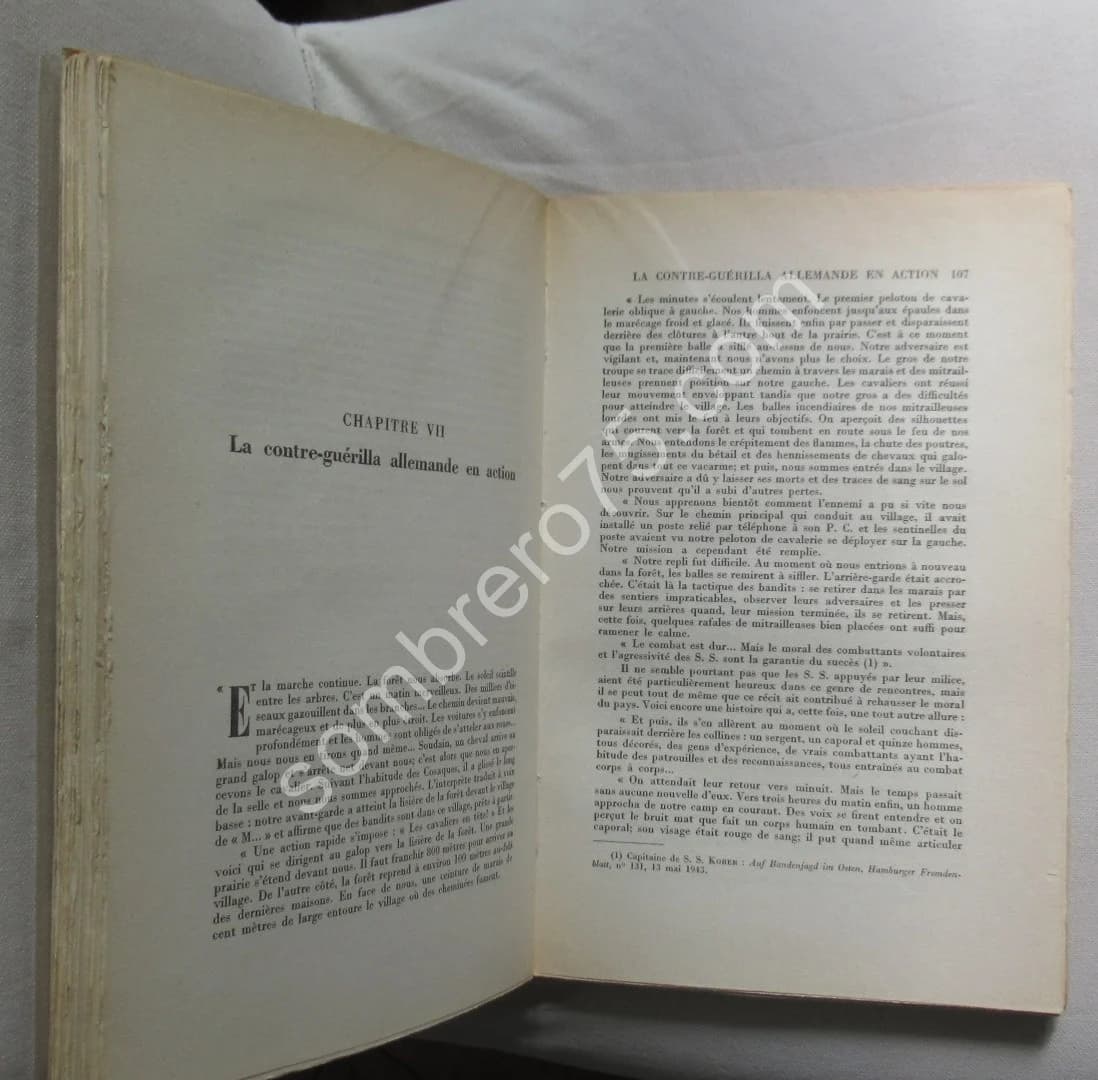 La Guerre sur le Front Russe. Guérilla et Contre Guérilla - Image 4