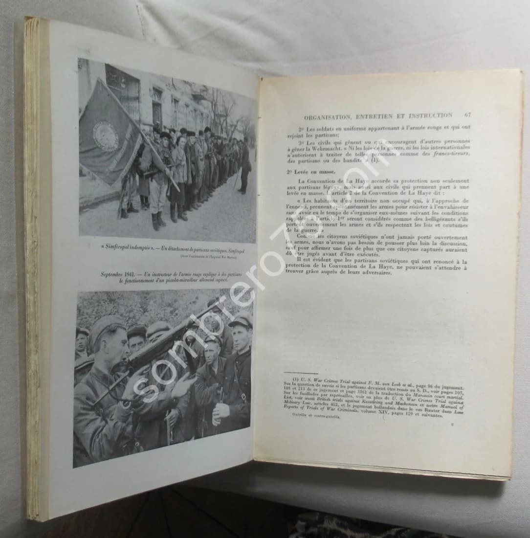 La Guerre sur le Front Russe. Guérilla et Contre Guérilla - Image 5