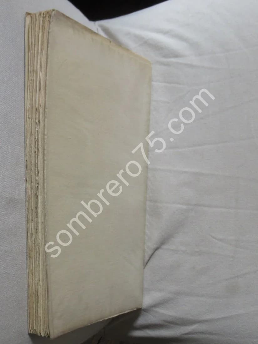 La Guerre sur le Front Russe. Guérilla et Contre Guérilla - Image 8