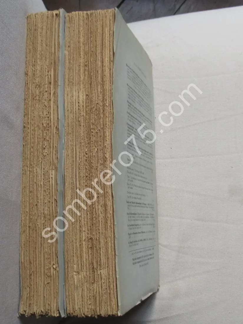 La Politique Extérieure de l'Autriche Hongrie 1875-1914. 2 Vol. J LARMEROUX - Image 7