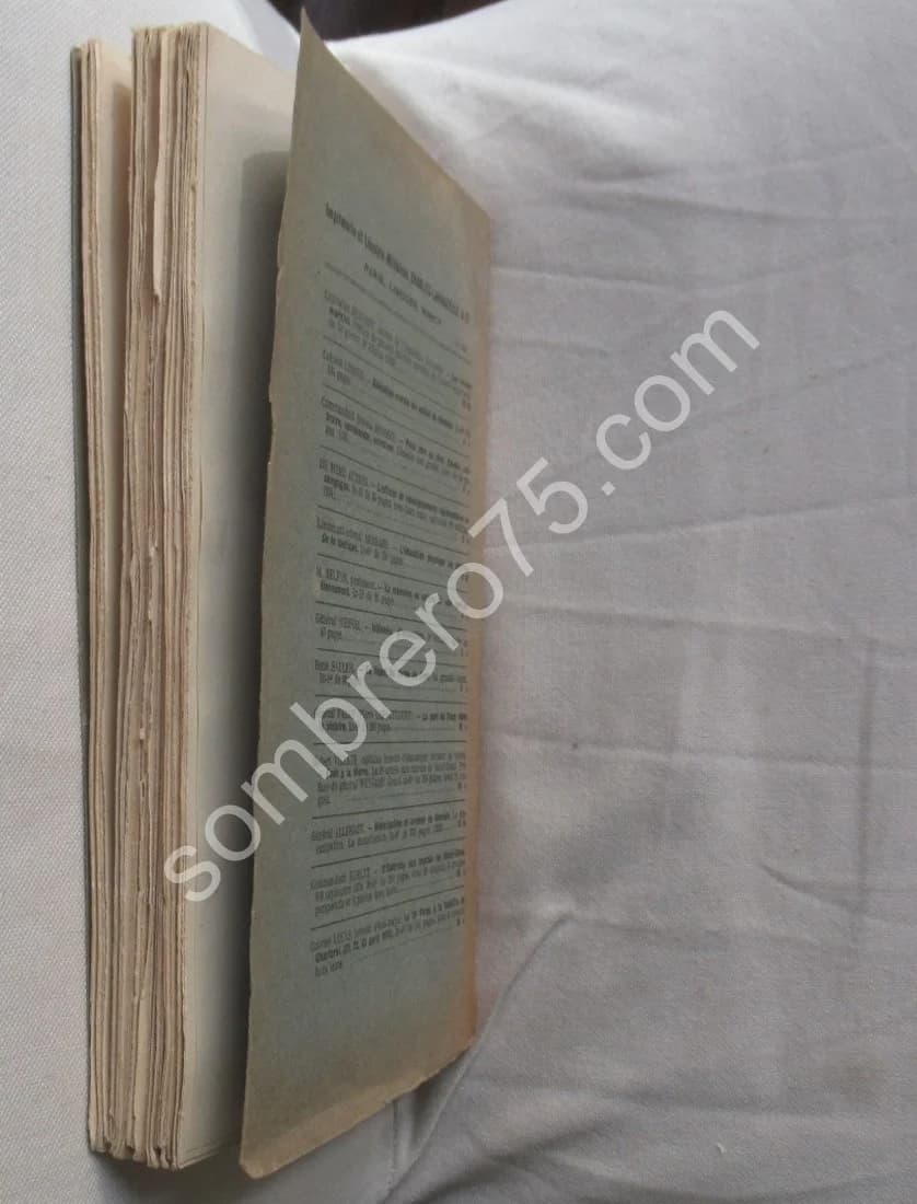 Batailles et Combats des Chars Français. L'année d'apprentissage. Lt Perre - Image 6