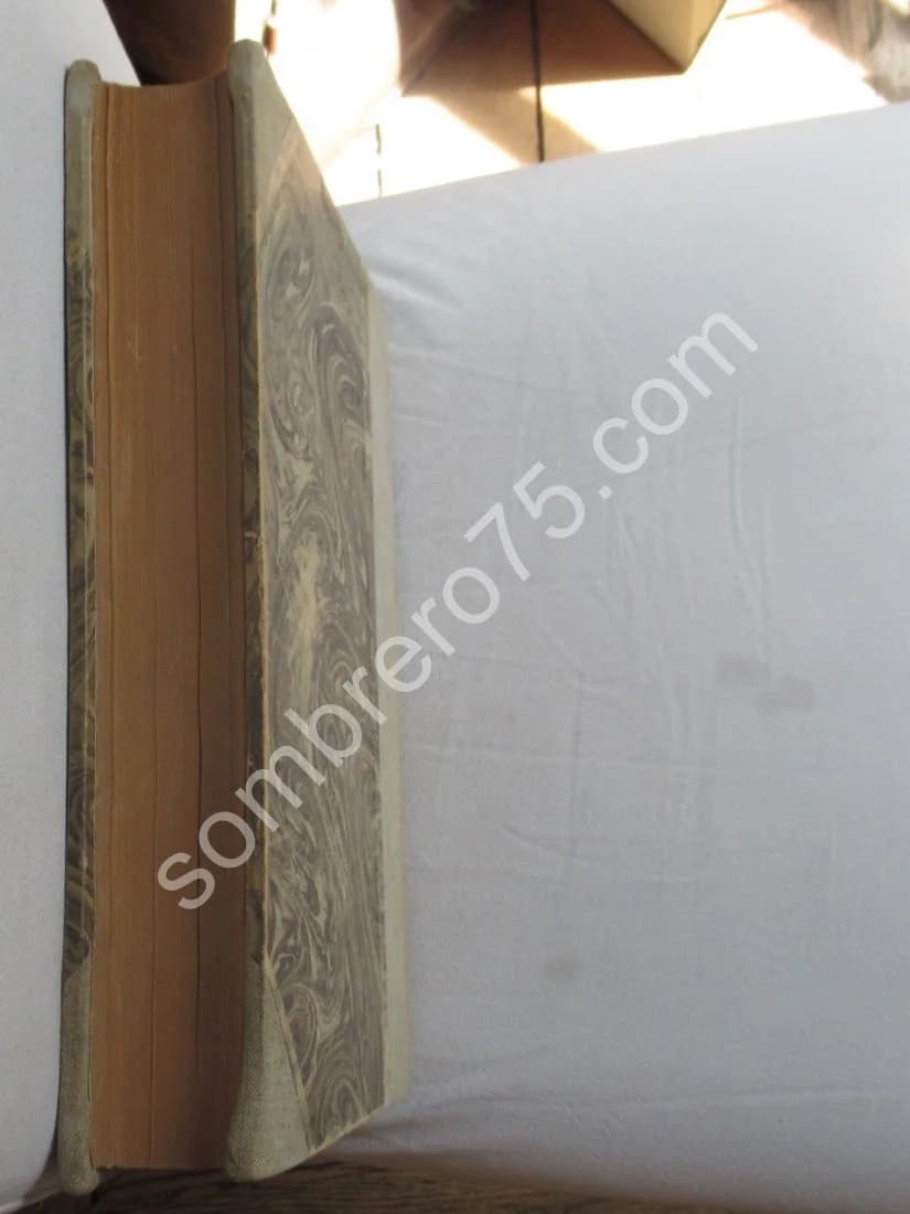 Céramique Punique - Image 14