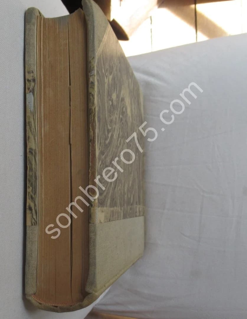 Céramique Punique - Image 15