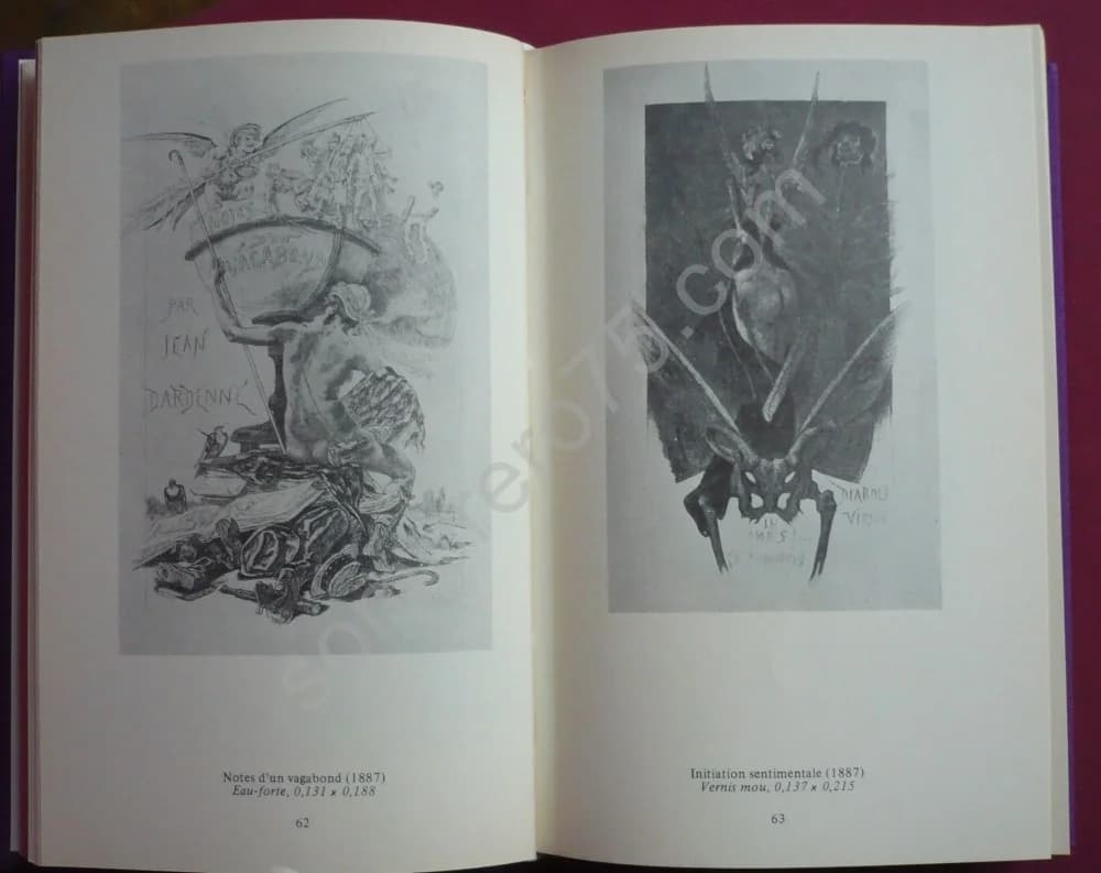 L'Oeuvre Graphique Complète de Félicien Rops. J.F. Bory - Image 4