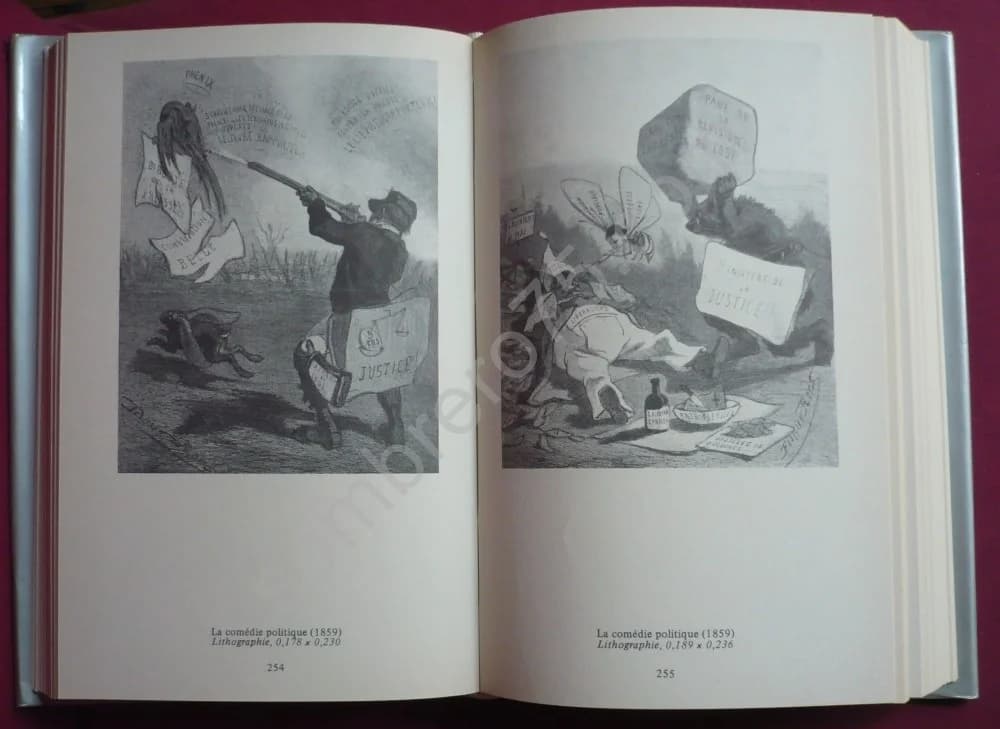 L'Oeuvre Graphique Complète de Félicien Rops. J.F. Bory - Image 5