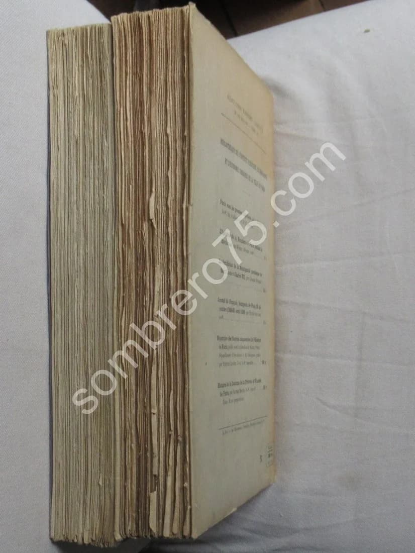 Procès Verbaux de la Commune de 1871 - 2 Tomes - Image 5