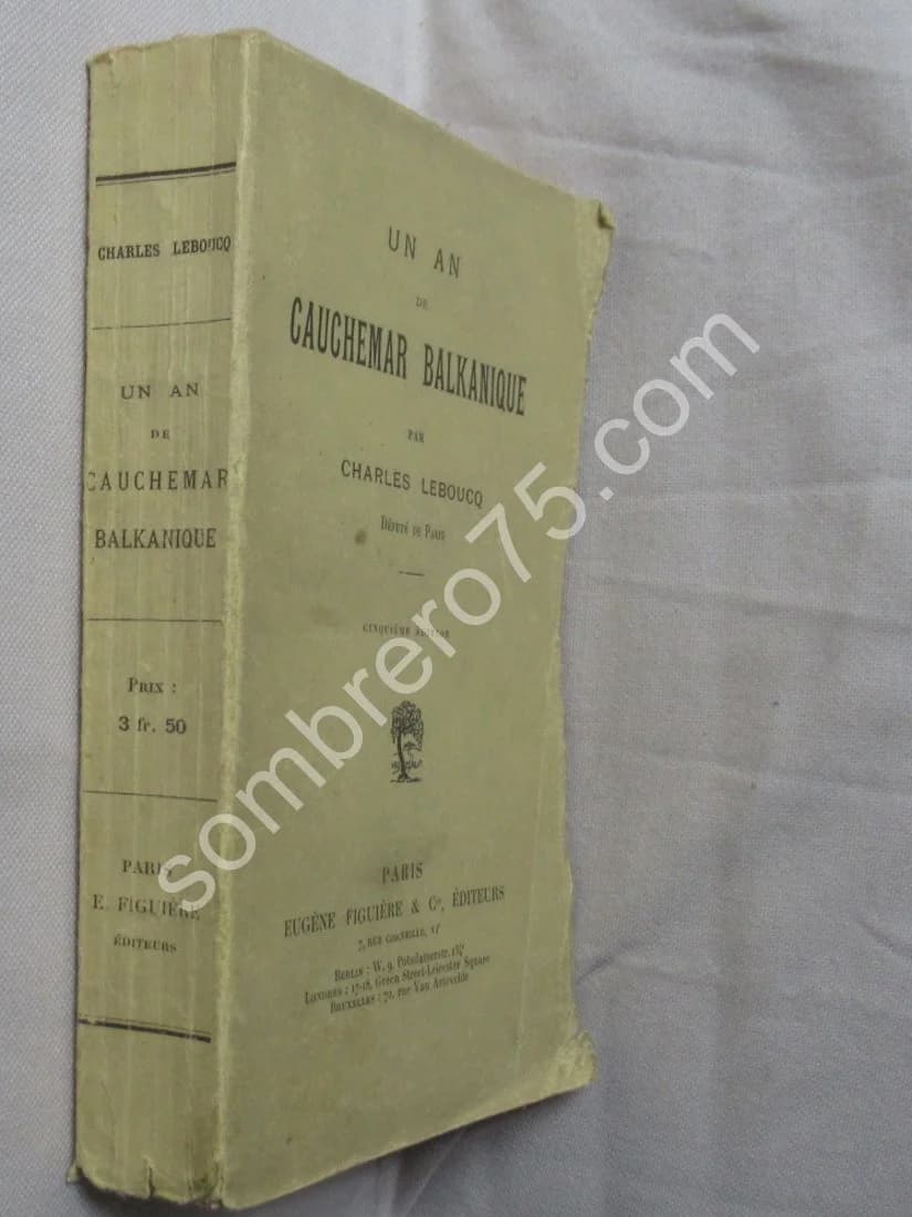 Un An de Cauchemar Balkanique - Image 2