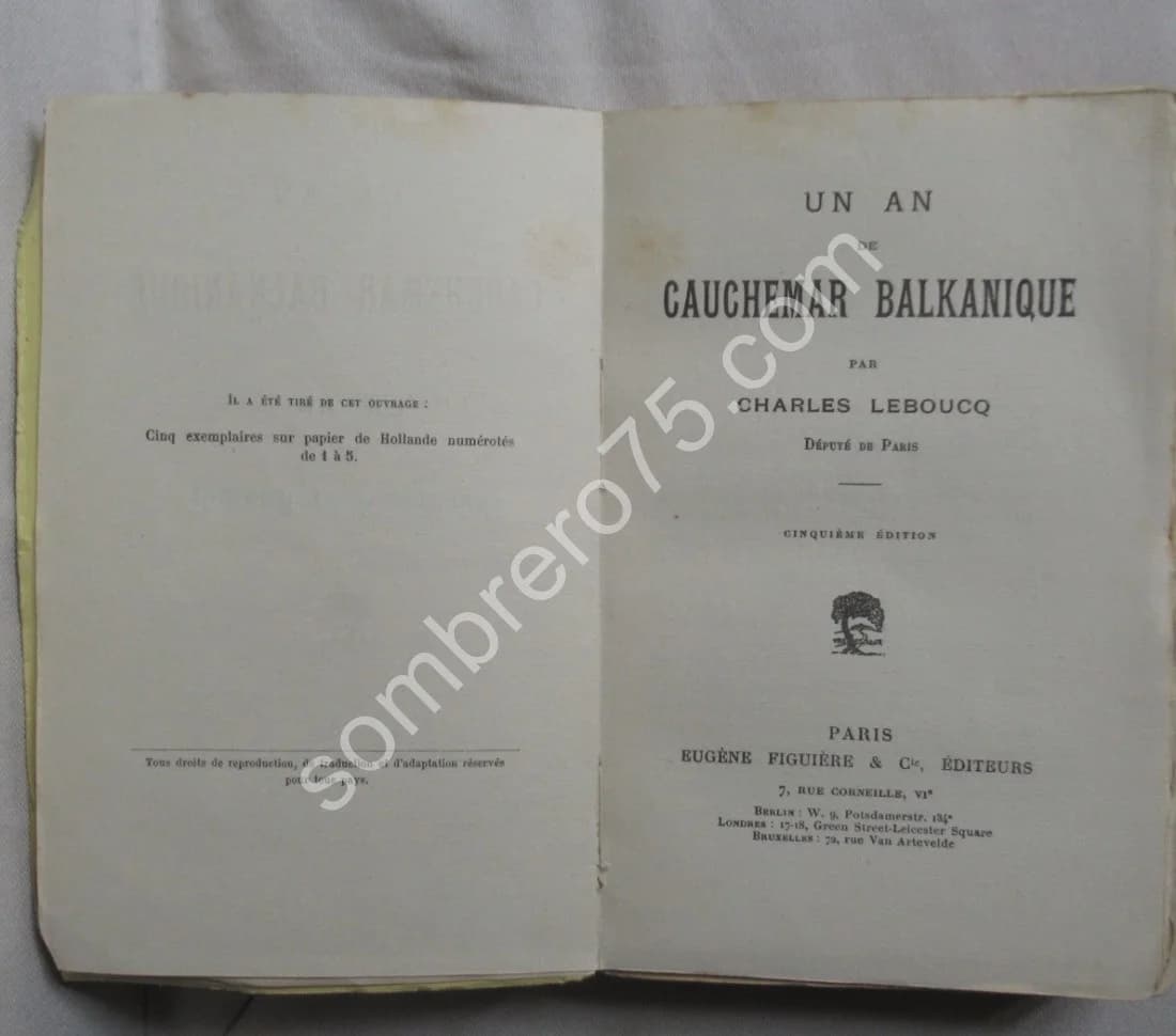 Un An de Cauchemar Balkanique - Image 3