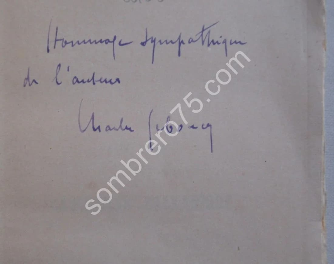 Un An de Cauchemar Balkanique - Image 4