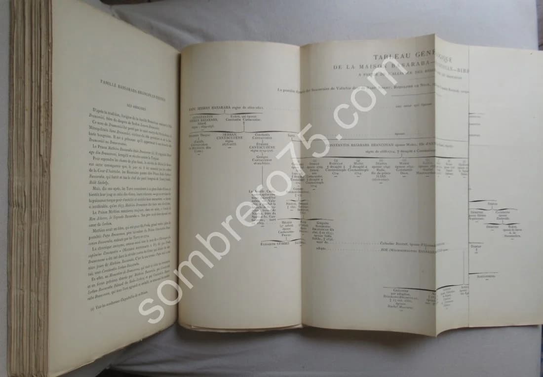 Règne de Bibesco. 2 Volumes - Image 10