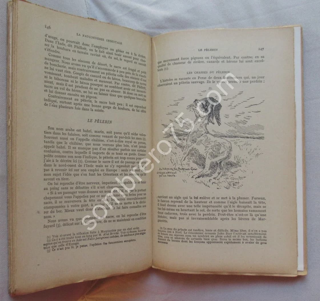 Traité de Fauconnerie et Autourserie - Image 4