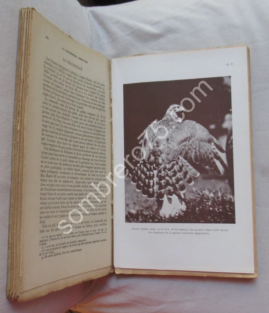 Traité de Fauconnerie et Autourserie - Image 5