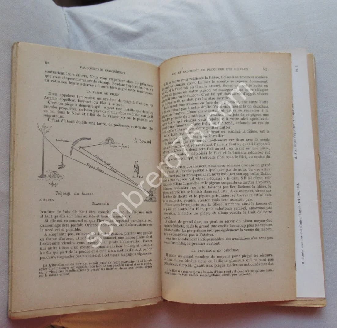 Traité de Fauconnerie et Autourserie - Image 6