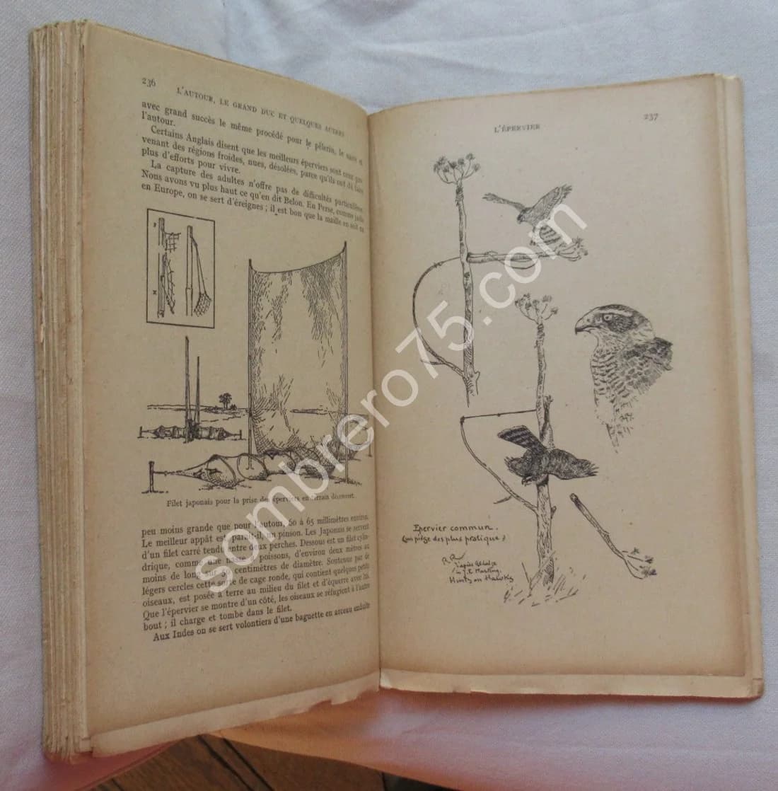 Traité de Fauconnerie et Autourserie - Image 7