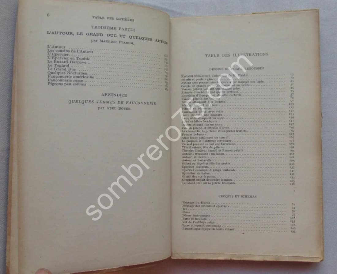 Traité de Fauconnerie et Autourserie - Image 9