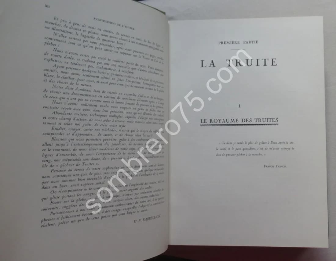 Truites Mouches Devons - Image 4