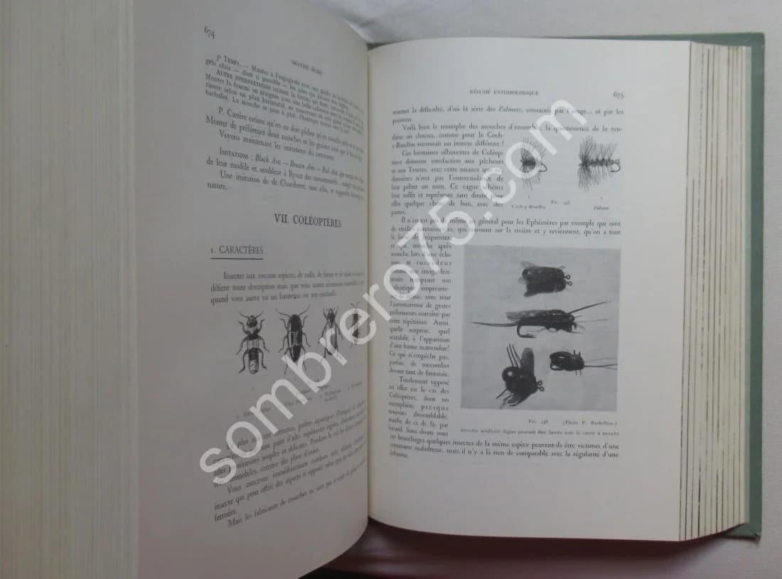 Truites Mouches Devons - Image 6