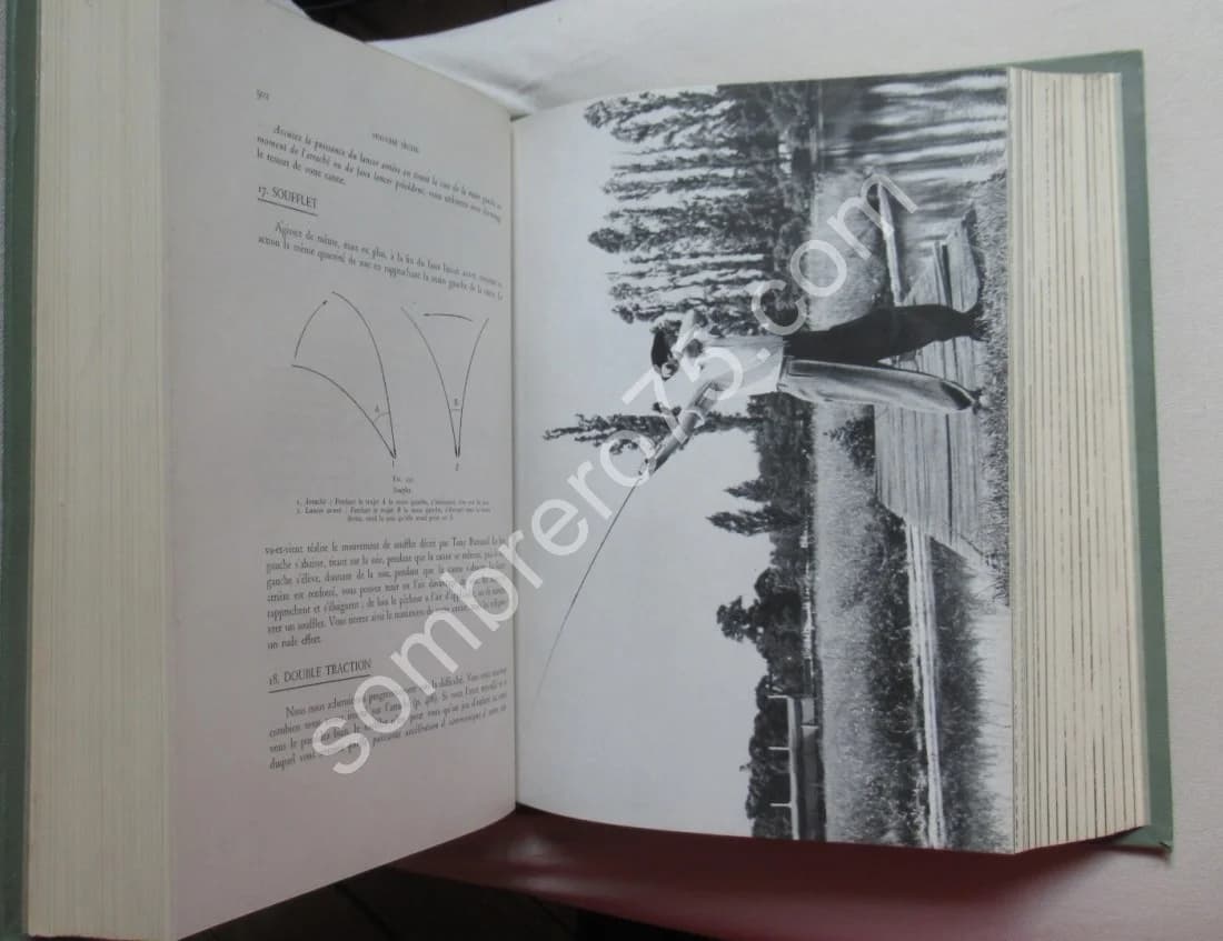 Truites Mouches Devons - Image 8