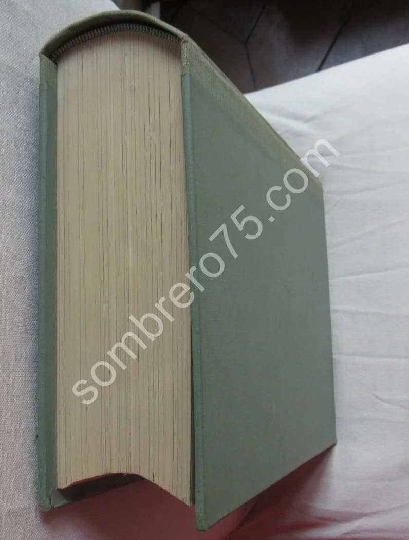 Truites Mouches Devons - Image 9