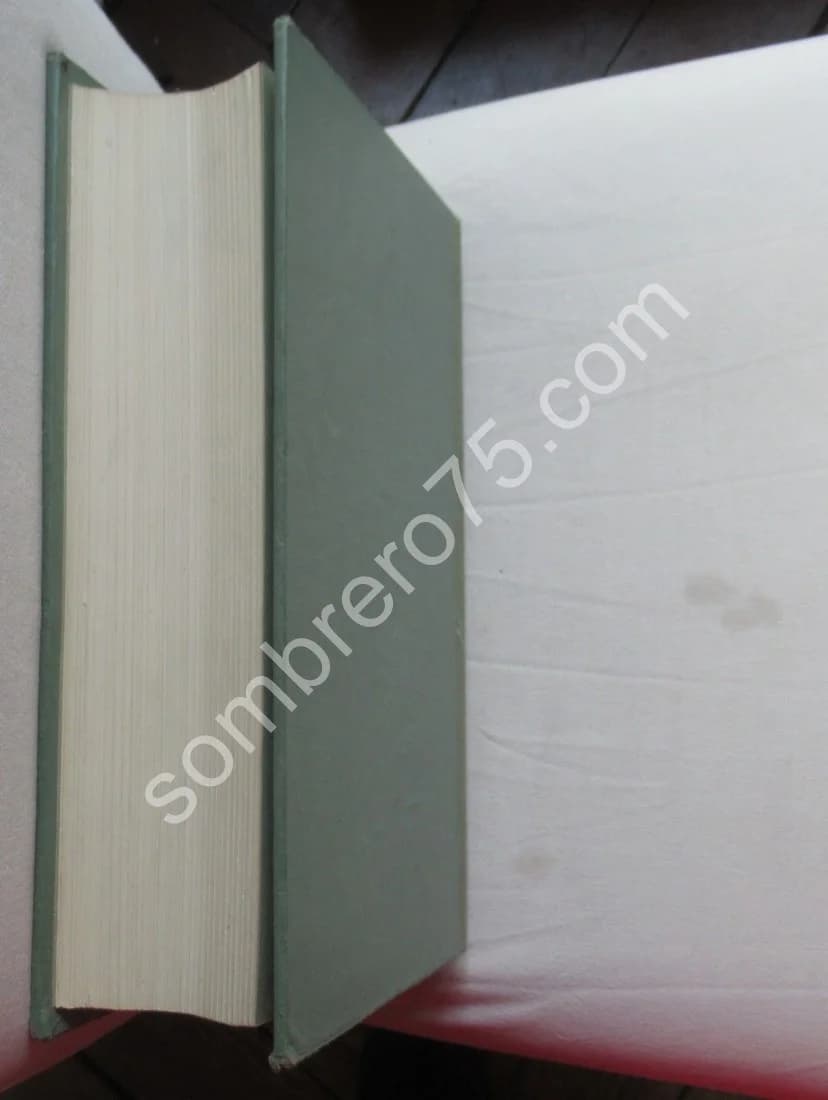 Truites Mouches Devons - Image 10