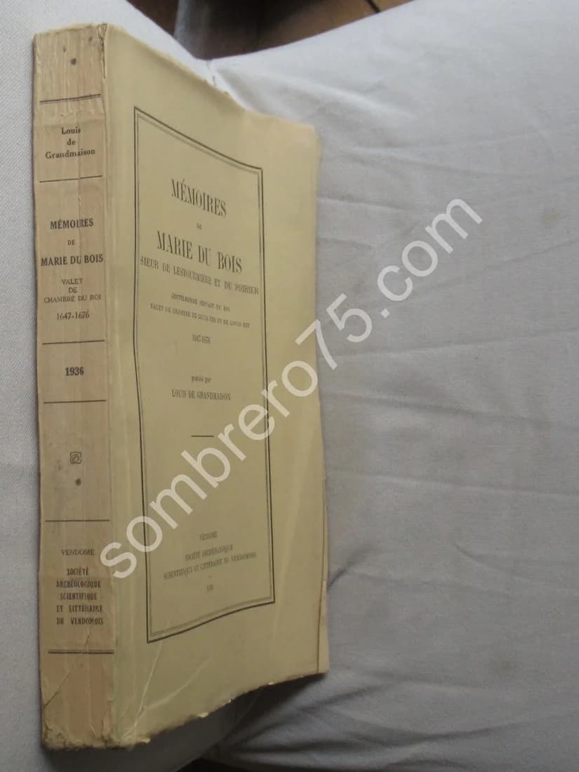 Mémoires de Marie du Bois - Sieur de Lestourmière et du Poirier 1647 1676 - Image 3