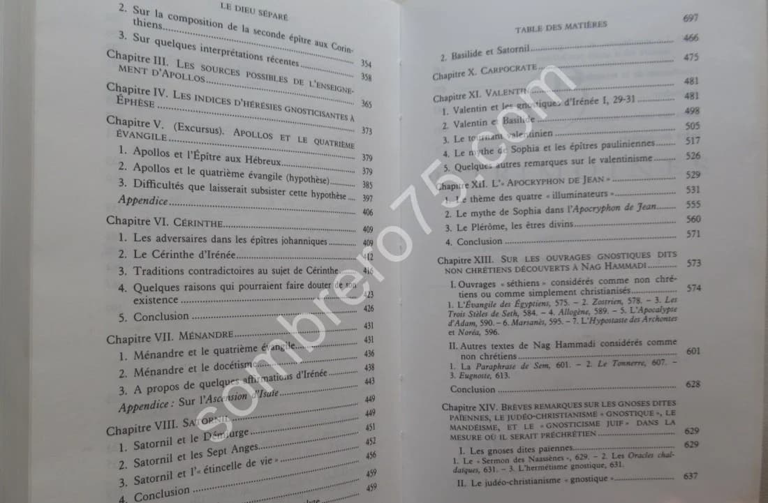Le Dieu Séparé - les origines du gnoticisme - Image 6