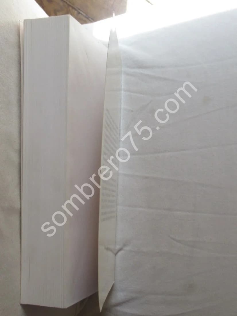 Le Dieu Séparé - les origines du gnoticisme - Image 9