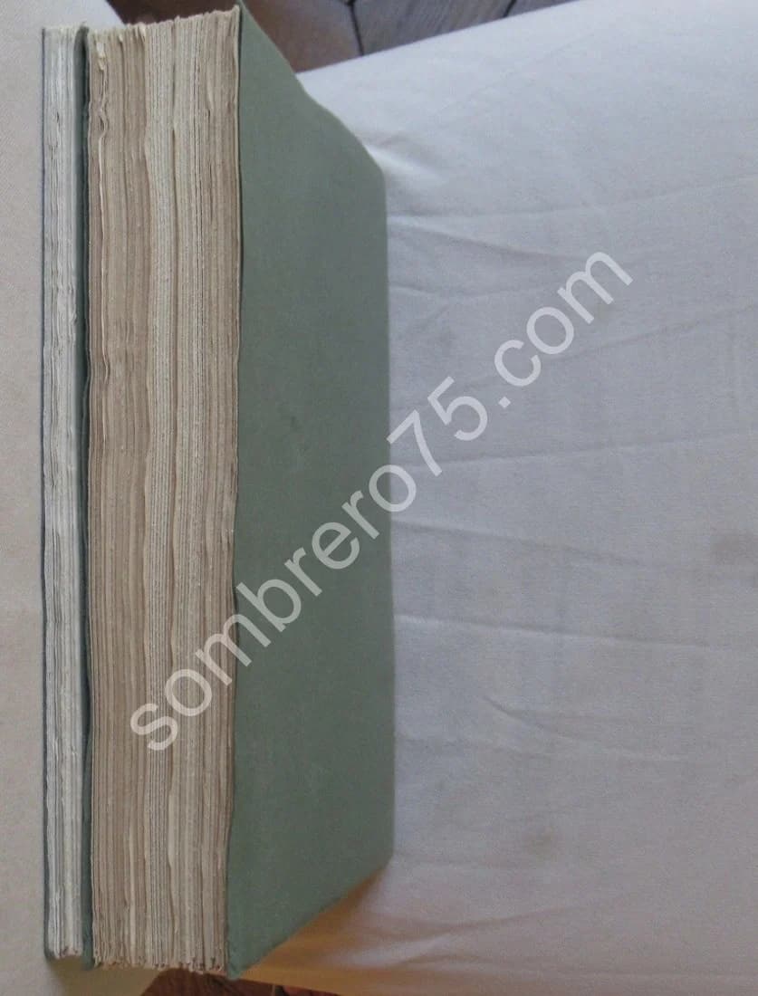 Petra et la Nabatène - 2 Tomes - Image 13