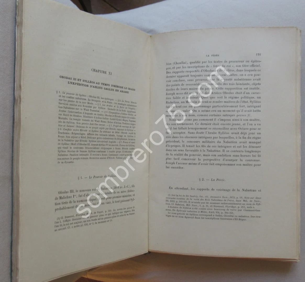 Petra et la Nabatène - 2 Tomes - Image 4