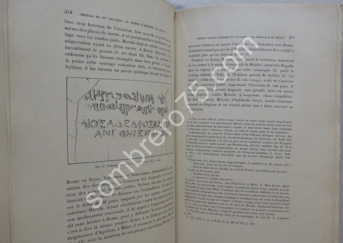 Petra et la Nabatène - 2 Tomes - Image 5