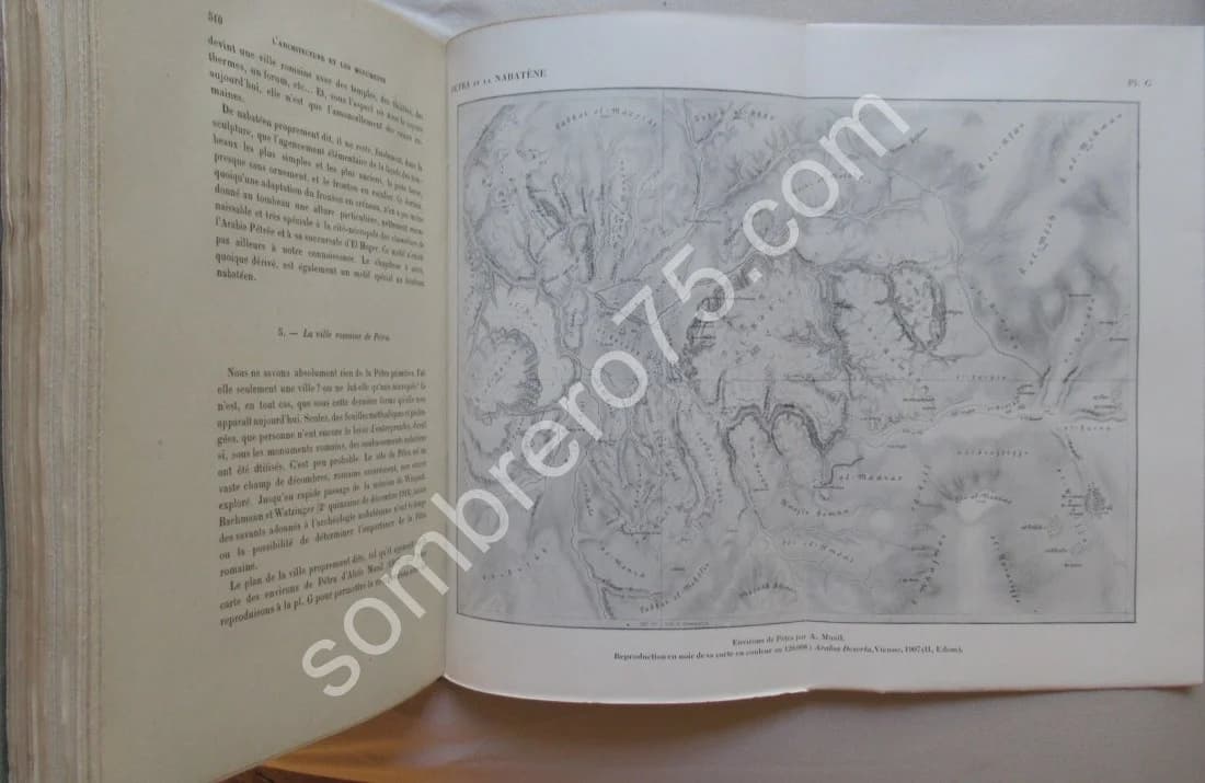 Petra et la Nabatène - 2 Tomes - Image 6