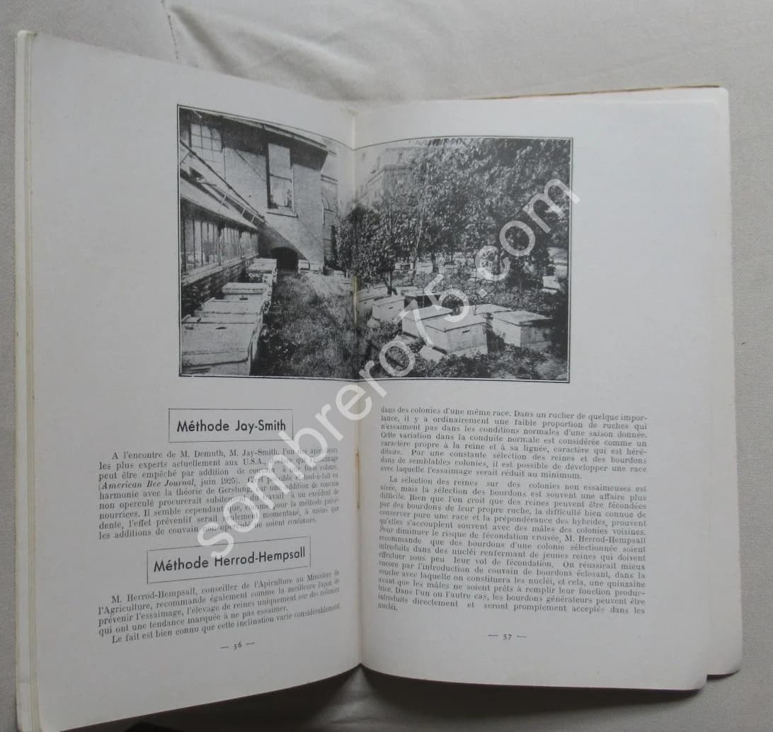 Conduite de la Ruche Langstroth. Snelgrove - Image 4