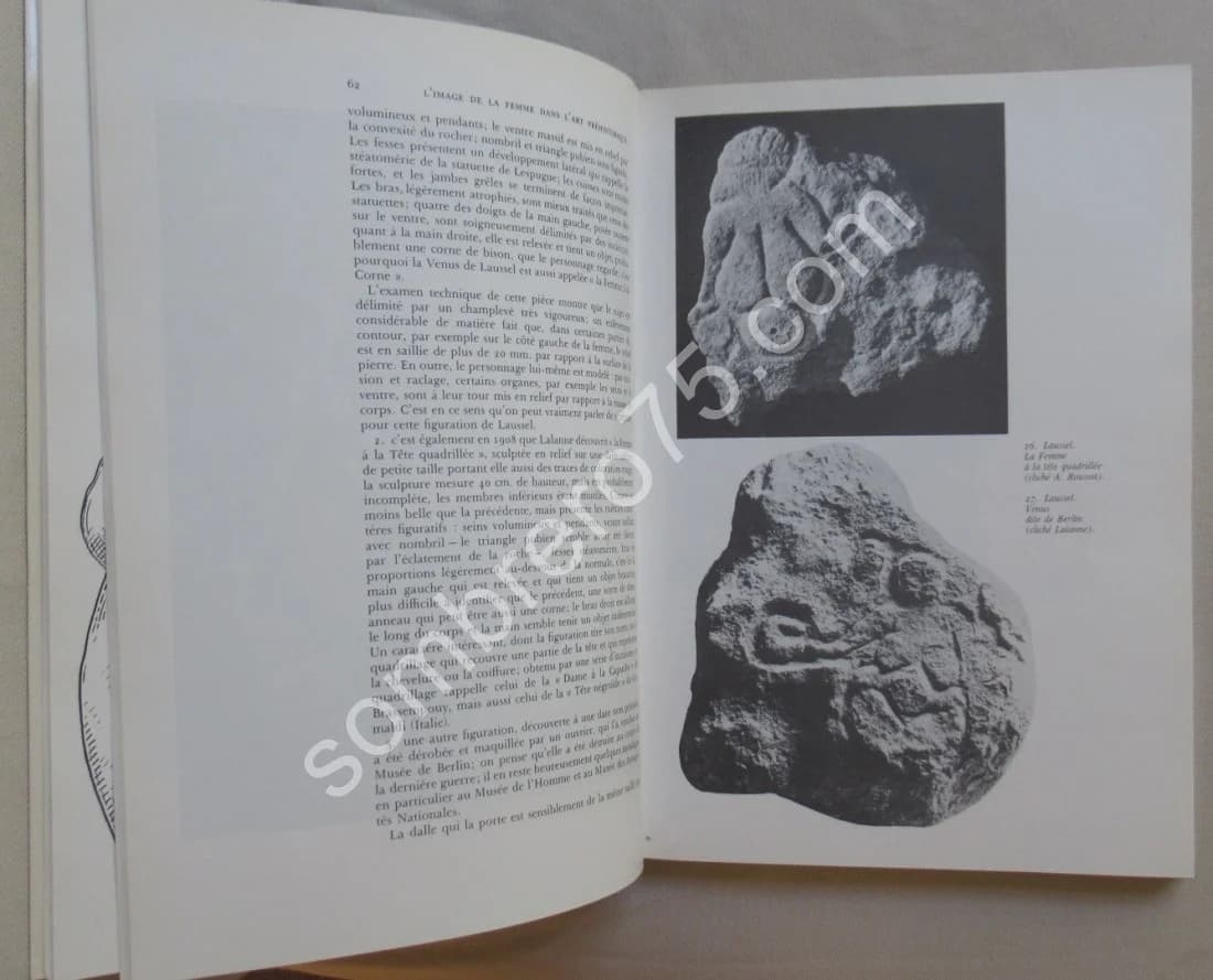 L'Image de la Femme dans l'Art Préhistorique - Image 4