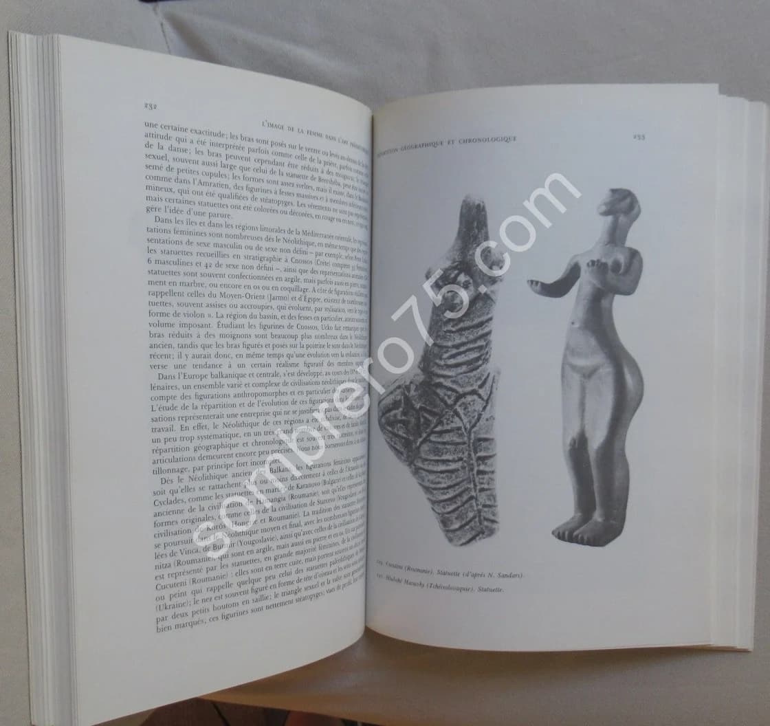 L'Image de la Femme dans l'Art Préhistorique - Image 5