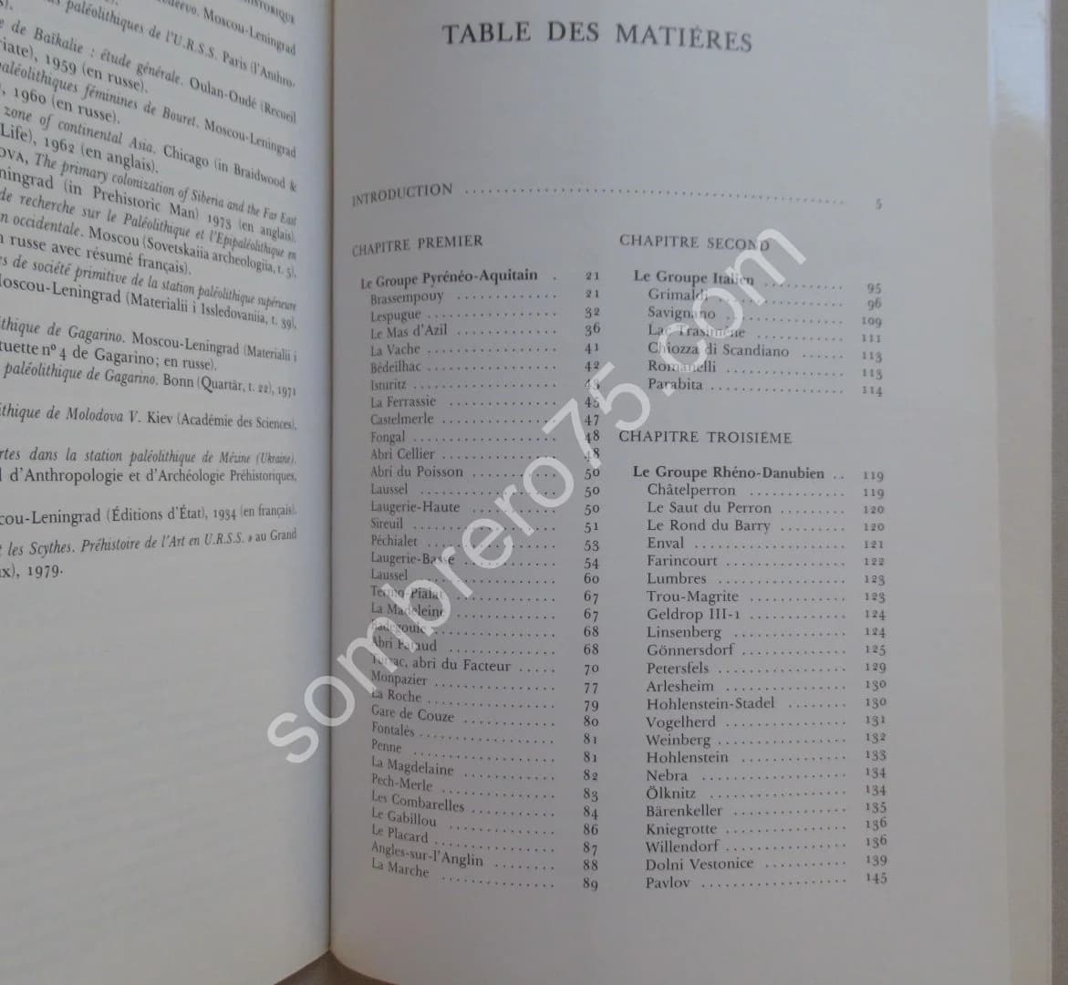 L'Image de la Femme dans l'Art Préhistorique - Image 6