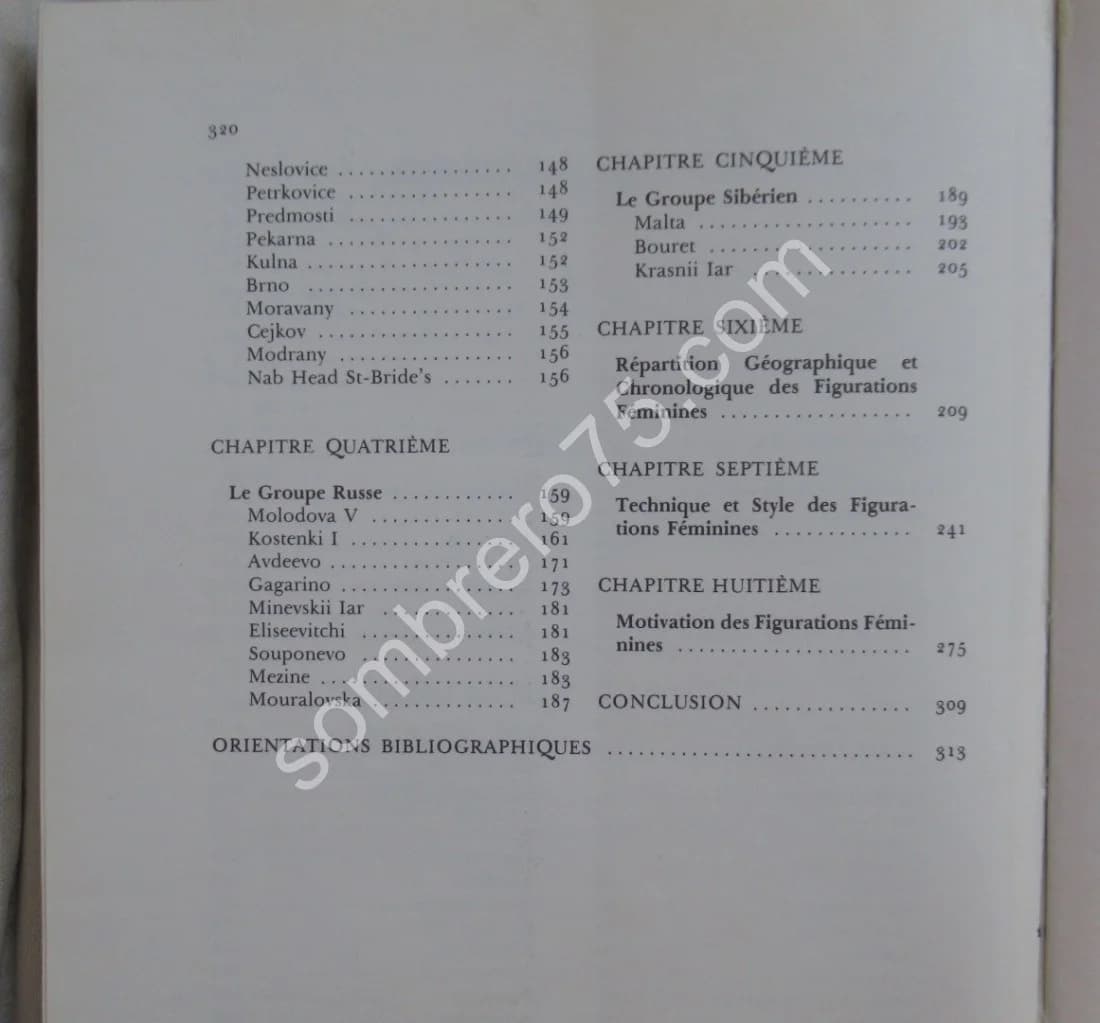 L'Image de la Femme dans l'Art Préhistorique - Image 7