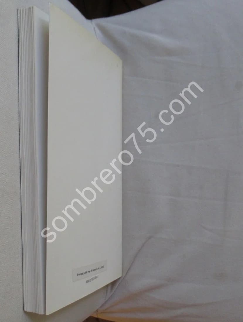 L'Image de la Femme dans l'Art Préhistorique - Image 8