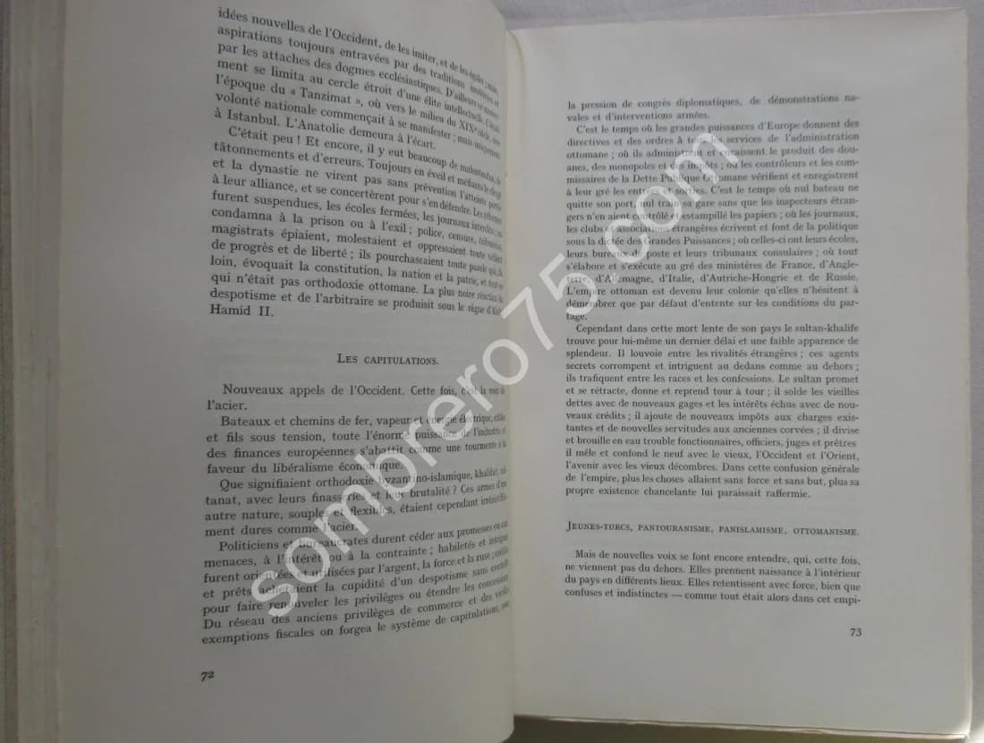 La Turquie d'Aujourd'hui. Dr Stéphan RONART - Image 4