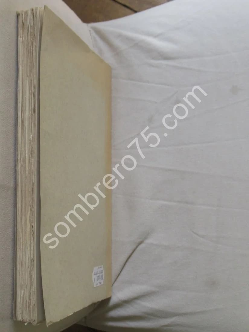 La Turquie d'Aujourd'hui. Dr Stéphan RONART - Image 8