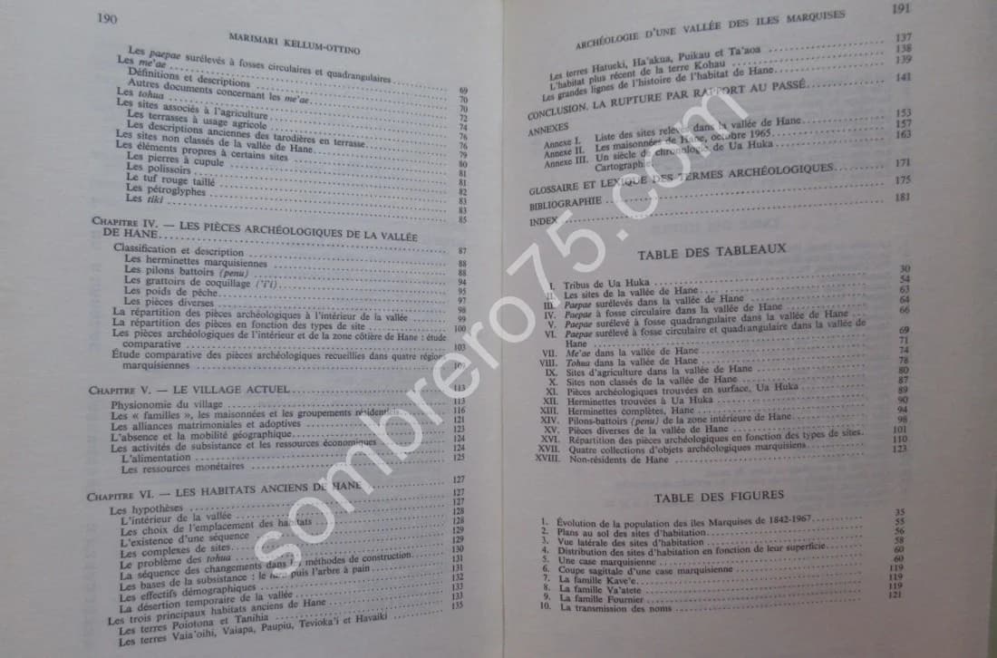 Archéologie d'une Vallée des Iles Marquises. Marimari Kellum Ottino - Image 8