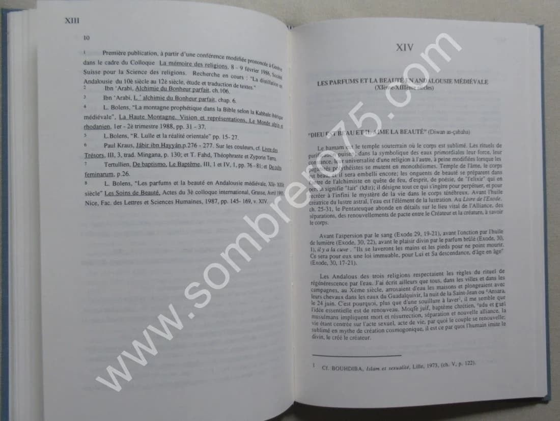 L'Andalousie du Quotidien au Sacré XIe-XIIIe Siècles - Image 5