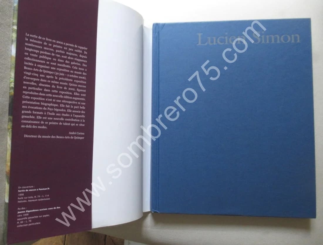 Lucien SIMON - Image 11