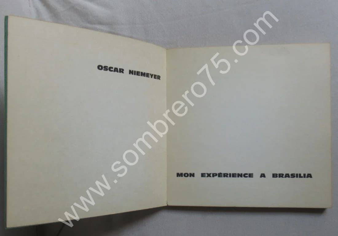 Mon Expérience à Brasilia - Image 3