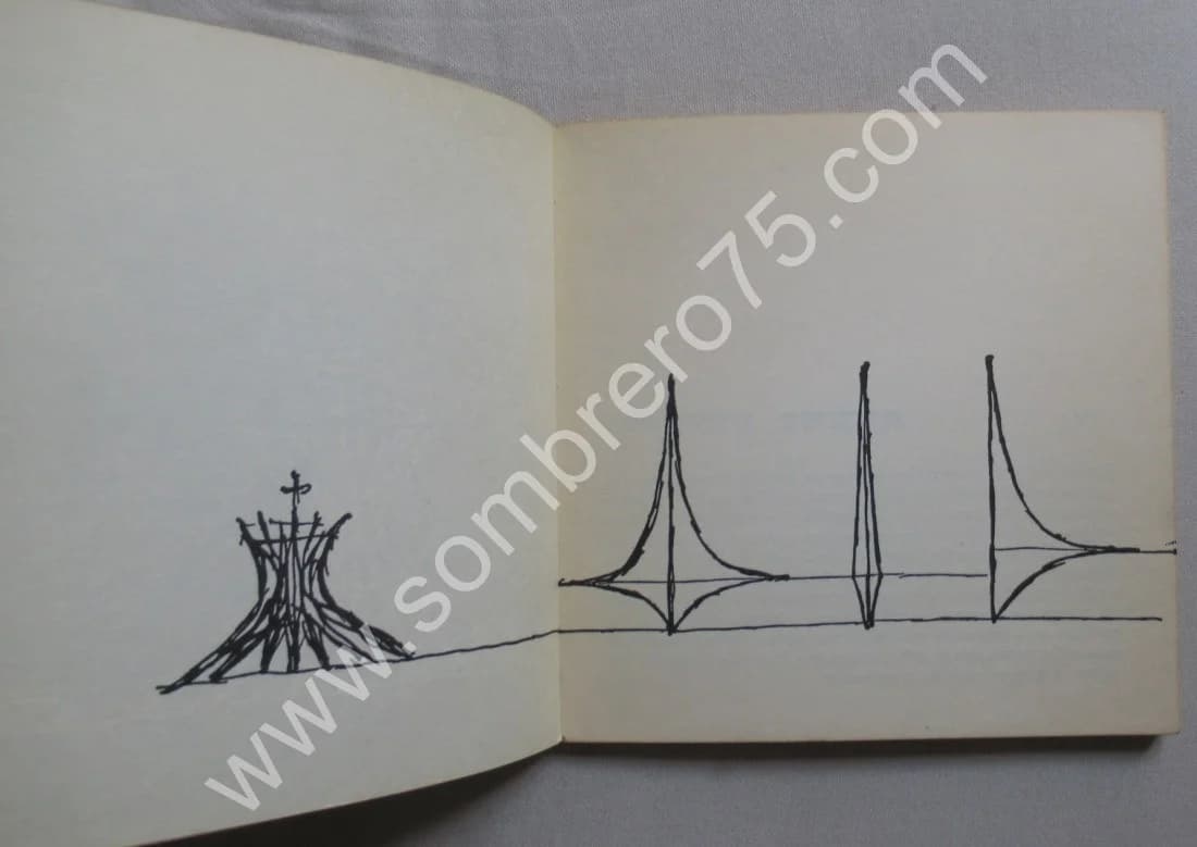 Mon Expérience à Brasilia - Image 7