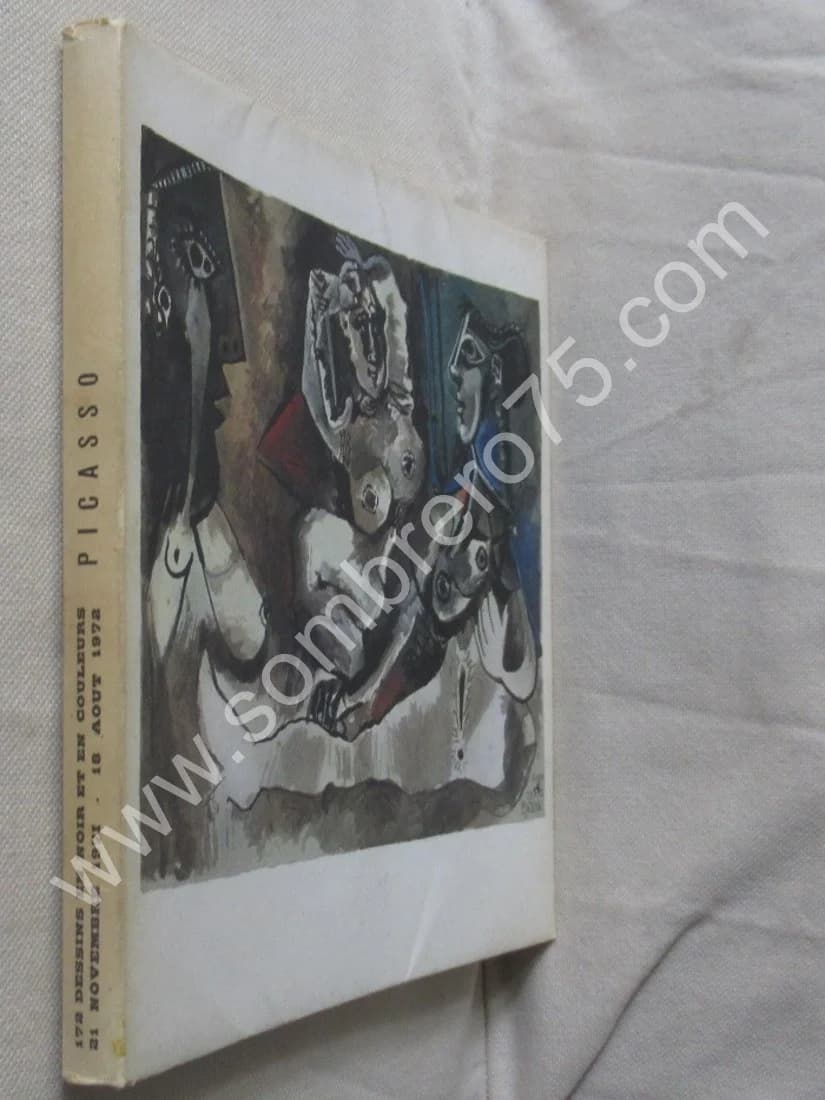 Picasso 172 Dessins en Noir et en Couleurs - Image 2