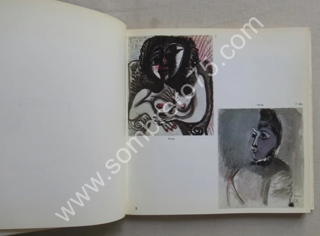 Picasso 172 Dessins en Noir et en Couleurs - Image 5